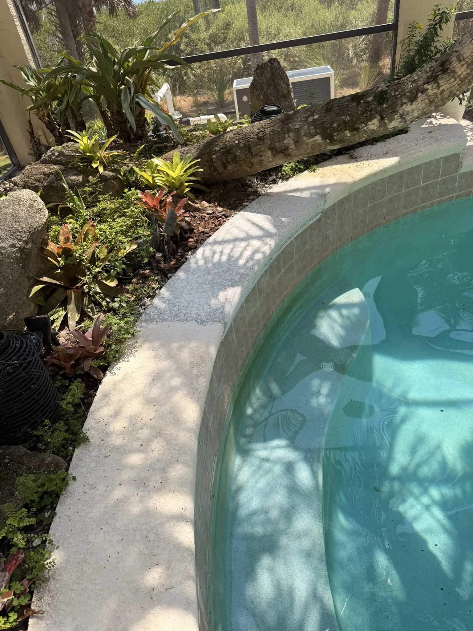 Finished sheer descent waterfall replacement, second angle — Palm Coast, FL